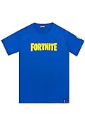 Fortnite Llama - Camiseta con una letra grande del videojuego favorito Jonesy con el Loot Llama rodeado de estrellas para niño [12-13 años] [azul]